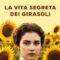 Recensione ‘La vita segreta dei girasoli’