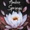 Recensione ‘Oltre Amber Springs’